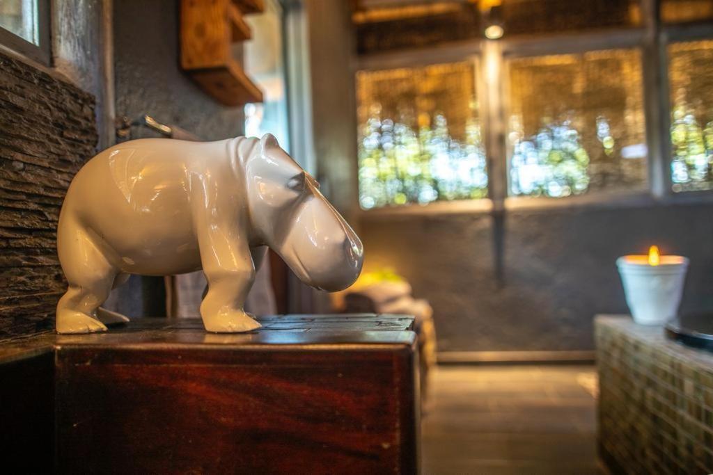 Hippomoon Lodge Game Reserve Hoedspruit Bagian luar foto